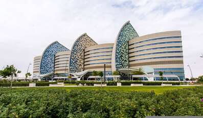 Qatar Marks First Pediatric Stem Cell Transplant 